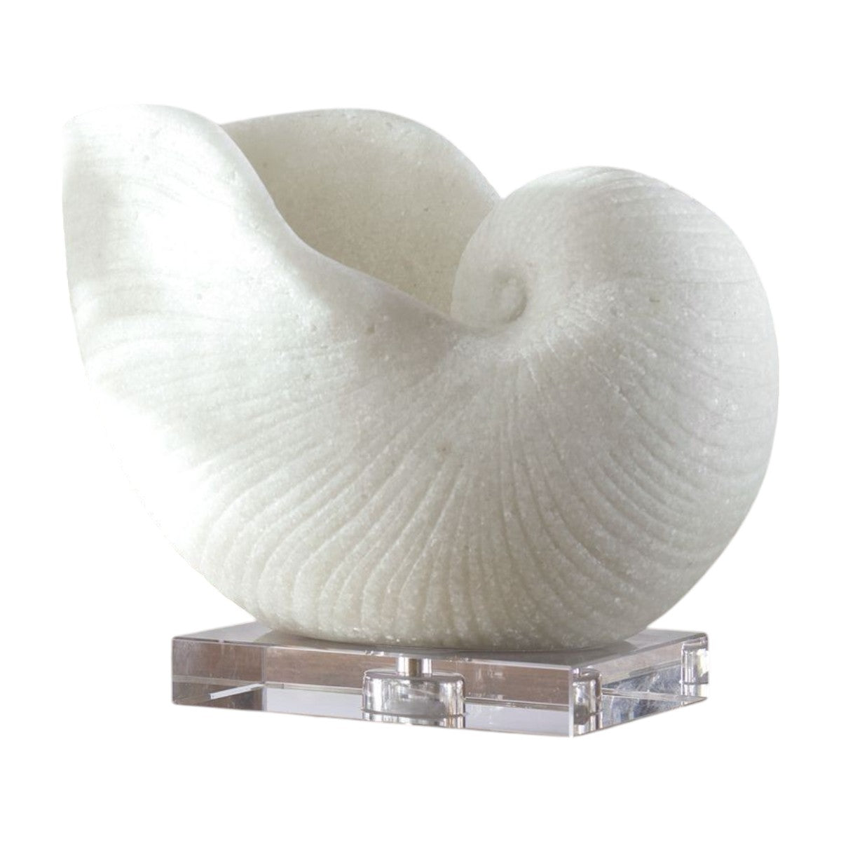 ESCULTURA CARACOL NAUTILUS